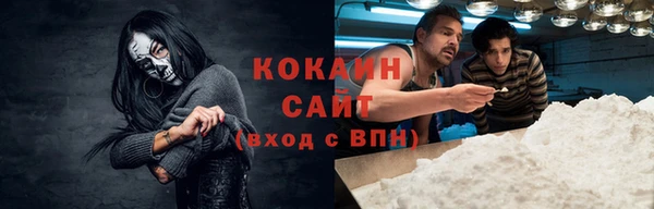 дурь Бородино