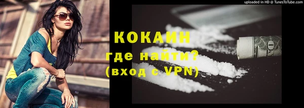 сатива Богородск