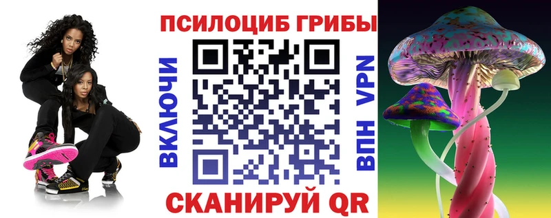 Галлюциногенные грибы Psilocybe  Купить  Могоча 